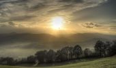 Tour Zu Fuß Castellarano - Croce di San Valentino - Montebabbio - Telarolo - Monte Maestà Bianca - Photo 4