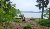 Tour Wandern Schluchsee - Forêt Noire : tour du lac Schluchsee - Photo 6