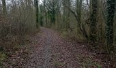 Trail Walking Anhée - maredsous par temps de pluie - Photo 6