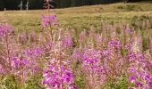 Tour Wandern Vallorcine - Loruaz par leBuet - Photo 14