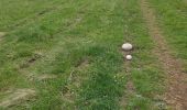 Trail Walking Beuil - Les Cluots par les Gorges du Cians supérieur - Photo 8