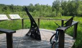 Trail Mountain bike Magny-Vernois - Magny Vernois,  ois de lantenot et de belmont - Photo 6