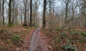 Tour Wandern Gerpinnes - Fromiee 110225 - Photo 14