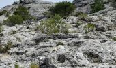 Tour Wandern Cabrières-d'Avignon - CABRIERE les Avignon - Photo 4