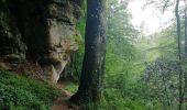 Trail Walking Waldbillig - Mullerthal randonnée magnifique - Photo 7