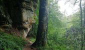 Tour Wandern Waldbillig - Mullerthal randonnée magnifique - Photo 7