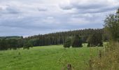 Tour Wandern Weismes - 20240708 - Sourbrodt 7.5 Km - Photo 5