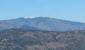 Tocht Stappen Laroque - laroque, plateau de thaurac - Photo 20