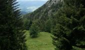 Trail Walking Bellecombe-en-Bauges - BAUGES: CRET DU CHAR... avec montée par le Golet de Doucy - Photo 2