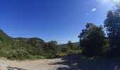 Tocht Mountainbike Vallon-Pont-d'Arc - vallon pont arc au col de la cize - Photo 8
