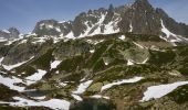 Tocht Stappen Chamonix-Mont-Blanc - Hôtel la Flégère - GR TMB - Lacs de Chéserys - Photo 8