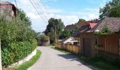 Tocht Te voet Březová - [Ž] Točník - Veliz - Točník - okružní - Photo 2