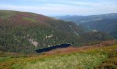 Trail Walking La Bresse - 31-05-20 Rainkopf  - Photo 2