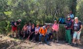 Tour Wandern Cassis - Plan olive - Photo 5