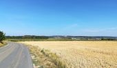 Percorso Bici ibrida Rochefort - Rondje-Rochefort-52km - Photo 4