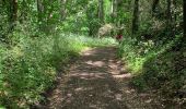 Tour Wandern Les Sables-d'Olonne - Zot/tinou le mehnir  - Photo 11