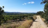 Trail Walking Le Boulou - rando de la bataille du Boulou - Photo 3