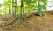 Excursión Bici eléctrica Ronse - Renaix- La Houppe par Ellezelles - Photo 16