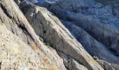 Trail Walking Vallouise-Pelvoux - le refuge glacier blanc et le point de vue sur la barre - Photo 20