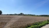 Tour Elektrofahrrad Wingles - Vers Lorette  - Photo 1