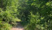 Tocht Stappen Manhay - Moulin de Lafosse - Photo 5