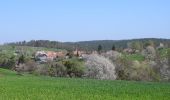 Tour Zu Fuß Hummelshain - Rundwanderweg Jagdfieber - Photo 3