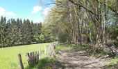 Tocht Stappen Stoumont - cour . borgoumont . moulin du ruy . andrimont . cour - Photo 12