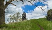 Tocht Te voet Calden - Zierenberg - Schloss Wilhelmsthal - Photo 3