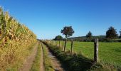 Trail Walking Voeren - Fouron-le-Comte  - Photo 5