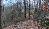 Trail Walking Theux - theux .tancremont . petite juslenville . theux - Photo 7