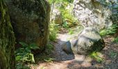 Tocht Stappen Fontainebleau - Fontainebleau sentier Denecourt Colinet 4 - Photo 18