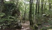 Tocht Stappen Lauroux - Labeil - Forêt de l'Escandorgue - Photo 8