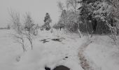 Excursión Senderismo Spa - tour de la fagne de Malchamps entre chiens et loup . dernière rando de cette année 2020 de merde - Photo 2