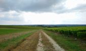 Tour Wandern Monthou-sur-Cher - Monthou-sur-Cher - Bourré Thésée GR41 - 15.9km 190m 3h55 (30mn) - 2021 08 31 - Photo 5
