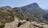 Excursión Senderismo Saint-Marc-Jaumegarde - Randonnée des crêtes au départ du barrage de Bimont  - Photo 11