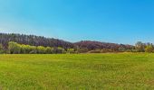 Tocht Te voet Blieskastel - Hasen-Rundwanderweg Blickweiler - Photo 1