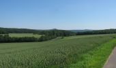 Percorso A piedi Calden - Habichtswaldsteig - Extratour Breuna - Photo 4