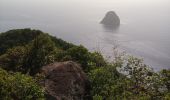 Trail Walking Le Diamant - Morne Larcher - Photo 4