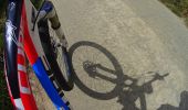 Tocht Mountainbike Charleroi - Nouveaus sur Ransart 40km - Photo 6