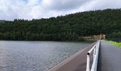 Tocht Stappen Stavelot - Tour du lac de Coo   - Photo 1