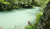 Randonnée Marche La Bastide - LA BASTIDE - DU BROUIS A L'ARTUBY - Photo 10