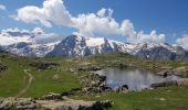 Tocht Stappen La Grave - Plateau d'Emparis - Lac Noir - Lac Lérié - Photo 7