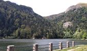 Excursión Senderismo Le Valtin - VOSGES 2023 - Sentier des Roches - Photo 19