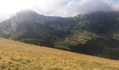Trail Walking La Roche-sur-Foron - GLIERES / BORNES: LE CHESNET - SUR COU - COL DU FREU - Photo 2