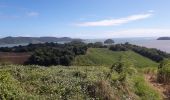 Tocht Stappen Le Robert - Pointe Savane plage des Resignier - Photo 6