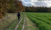 Randonnée Marche Bierbeek - Meerdael Nord  - Photo 5