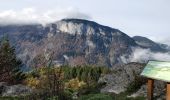 Trail Walking Arâches-la-Frasse - Les Carroz, Mont Favy, pierre à Laya, Araches, remontée par les Nantes praz rôti, retour par les grangettes - Photo 10