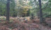 Trail Walking Theux - gervova . chemin du ninglinspo . chifgotte . charmille . gervova - Photo 10