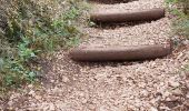 Trail Walking Montmeyan - les basses gorges de quinson - Photo 6