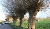 Trail On foot Poperinge - Zevekotepad Reningelst - Photo 1